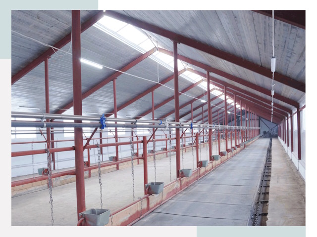 Строительство коровников в Рязани от 616 руб.