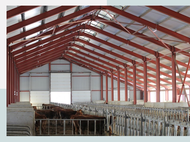 Строительство коровников в Рязани