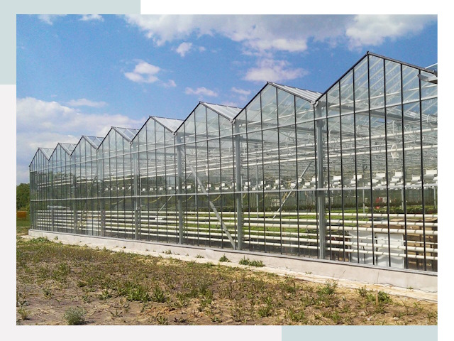 Строительство теплиц в Рязань от 616 руб. за м²